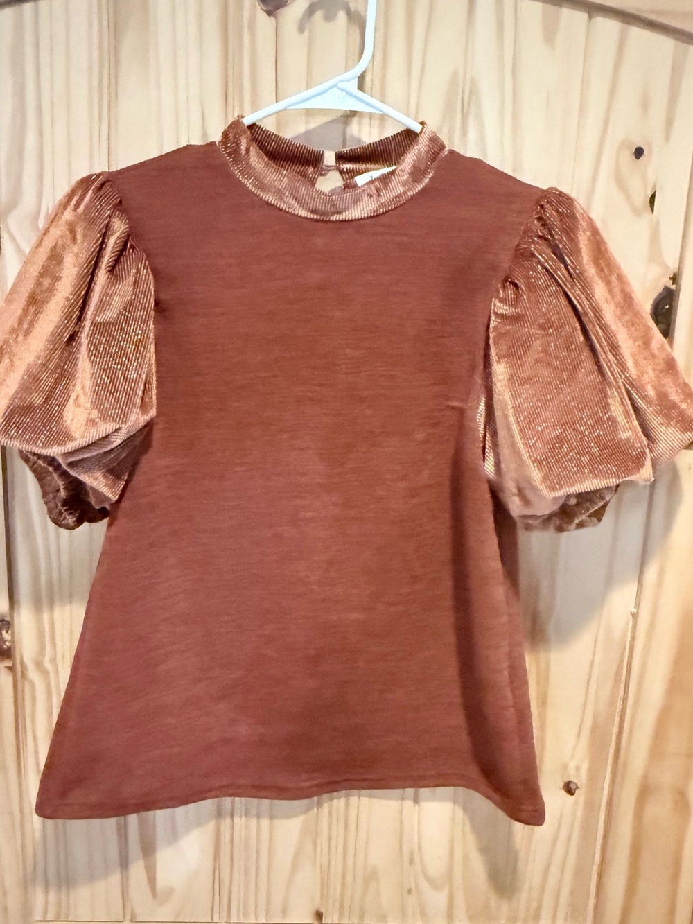 THML Capped Puff Sleeve Velvet-Like Top in a rust/brown size S